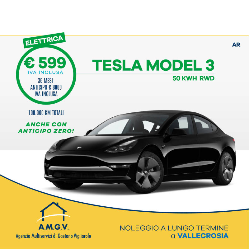 noleggio tesla