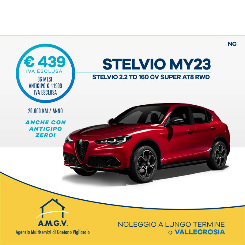 noleggio a lungo termine subito